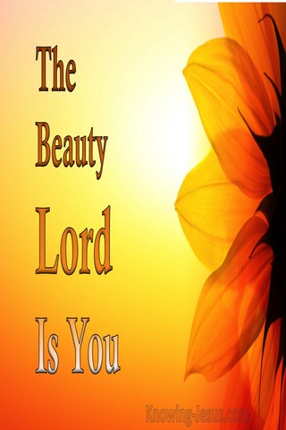 The Beauty Lord Is You (devotional)01-31 (orange)